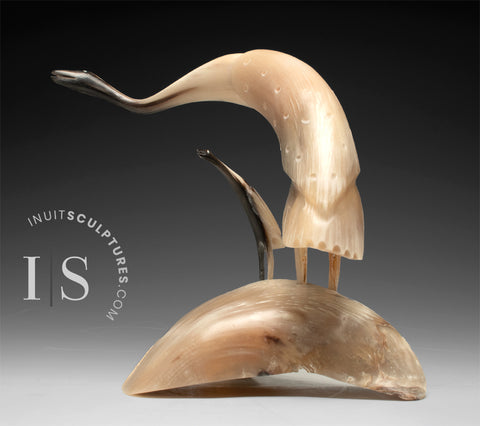 16" SIGNATURE Muskox Horn Crane by Buddy Alikamik