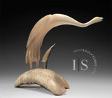 16" SIGNATURE Muskox Horn Crane by Buddy Alikamik