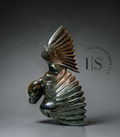 CURATOR'S CHOICE 17” SIGNATURE Owl by Toonoo Sharky