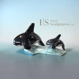 8” SIGNATURE Orcas by Johnnysa Mathewsie *In Cahoots*
