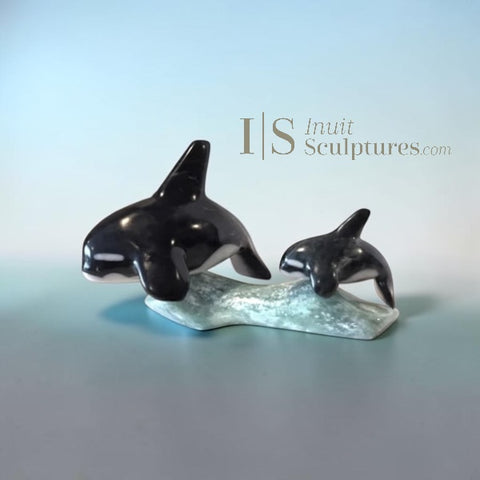 8” SIGNATURE Orcas by Johnnysa Mathewsie *In Cahoots*