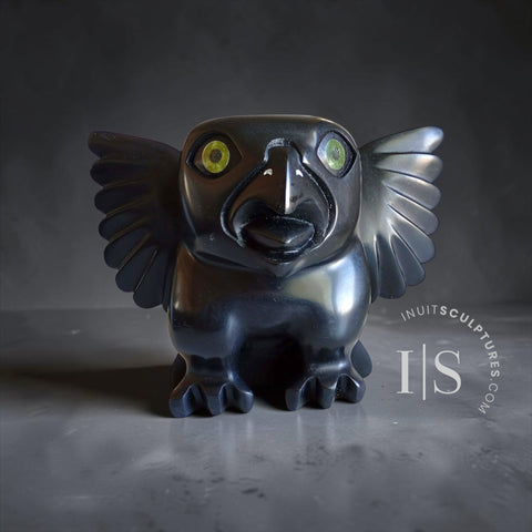 CURATOR'S CHOICE 11" Owl by Toonoo Sharky *Jet*