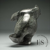 15" Dancing Bear by Noah Parr *Ballroom Blitz*