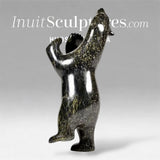 13" Dancing Bear by Ashevak Adla *Bench Press*