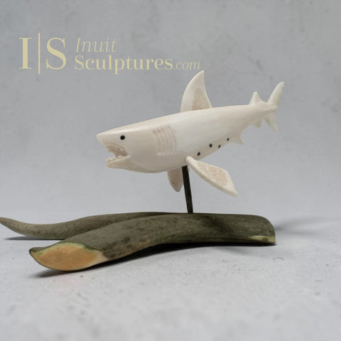 Requin de l'Alaska 12" par Harrison Miklahook Jr *Mouvement perpétuel*