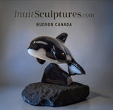 6” Orca by Johnnysa Mathewsie *Clearing The Bar*