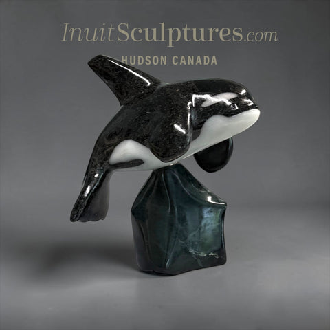 7” SIGNATURE Orca by Johnnysa Mathewsie *Two-One*