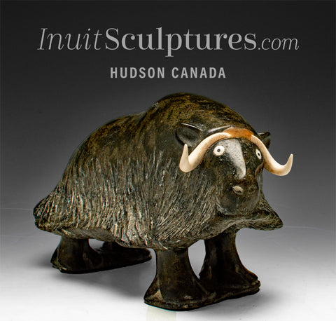 Muskox and Caribou