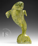 10" Beluga Whale by Shoaty Michael