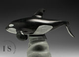 10" SIGNATURE Orca by Derrald Taylor *Europa*