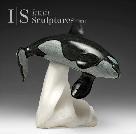 8" SIGNATURE Orca Whale by Derrald Taylor *Whirly Bird*