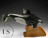 10" SIGNATURE Orcas by Derrald Taylor *Family Fun*