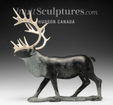 9" Caribou by  Derrald Taylor *Wisdom*