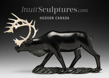 11" Caribou by  Derrald Taylor *Sagacious*