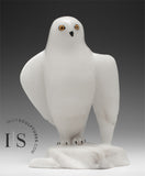 8" Snowy Owl (Uppik) Master Carver Derrald Taylor