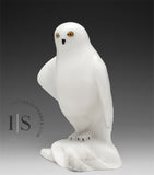8" Snowy Owl (Uppik) Master Carver Derrald Taylor