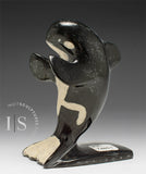 5" Orca Whale by Kelly Etidloie *Tail Wind*