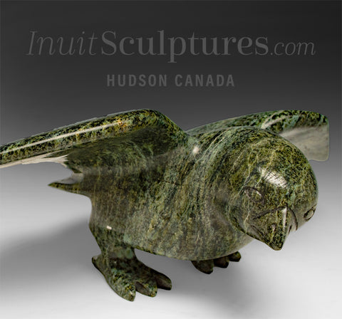 11" SIGNATURE Hawk by Killiktee Killiktee *Green Hawk Down*