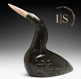 VINTAGE 10" Loon par George Noah *Bécher*