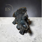 Last Masterpiece Nuna Parr VINTAGE 160 Lbs 22" WAG Classic Bear and Walrus Masterpiece Nuna Parr (1946-2026)