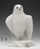 8" Snowy Owl (Uppik) Master Carver Derrald Taylor
