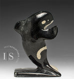 5" Orca Whale by Kelly Etidloie *Tail Wind*
