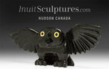 10" Owl by Toonoo Sharky