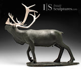 22" Museum Calibre Caribou by Paul Malliki *His Majesty*