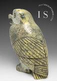 THE VERY LAST ONE 9" SIGNATURE Owl by the Late Pits Qimirpik (1956-2024) *Tawny Girl*