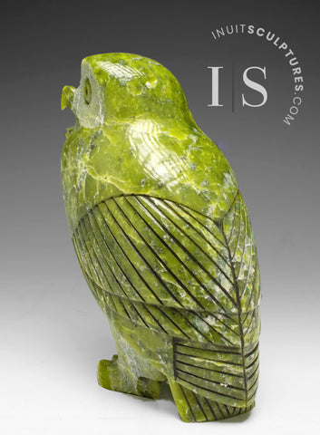 THE VERY LAST ONE 8" SIGNATURE Owl by the Late Pits Qimirpik (1956-2024) *Irish Eyes*