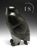 10" SIGNATURE Owl by Pits Qimirpik *Clooney* CURATOR'S CHOICE