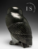 10" SIGNATURE Owl by Pits Qimirpik *Clooney* CURATOR'S CHOICE