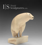 6" Polar Bear