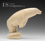 6" Polar Bear