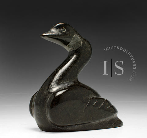 6" Ptarmigan (Bird) by Luke Kolola