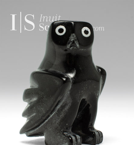 4" SIGNATURE Owl by Sam Qiatsuk *Little Sam #2*
