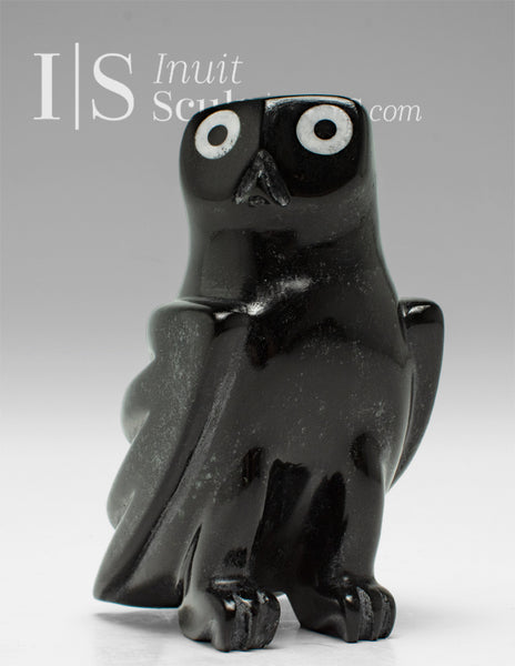 5" SIGNATURE Owl by Sam Qiatsuk *Little Sam #1*