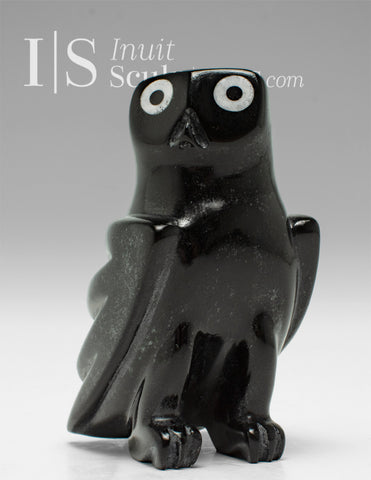 5" SIGNATURE Owl by Sam Qiatsuk *Little Sam #1*
