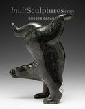 6” SIGNATURE Diving Bear by Tim Pee *Magic in Motion*