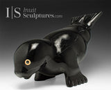 11" Seal by Toonoo Sharky *Hands Down*