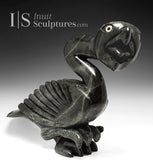 25" SIGNATURE Dancing Bird Spirit by Toonoo Sharky *Lionheart*