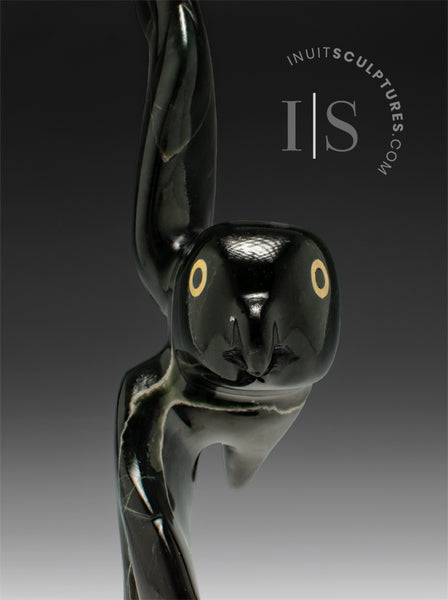 8" Owl by Toonoo Sharky "Loungewear"