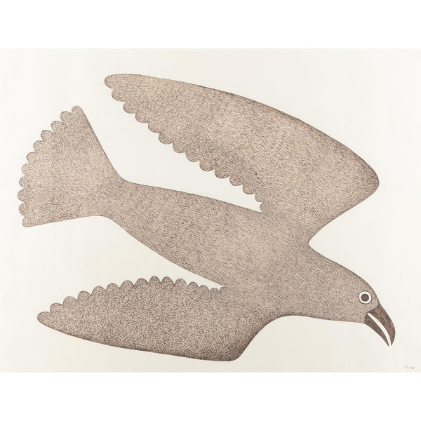 LAST PRINT / VINTAGE  Bird by Kenojuak Ashevak 1980