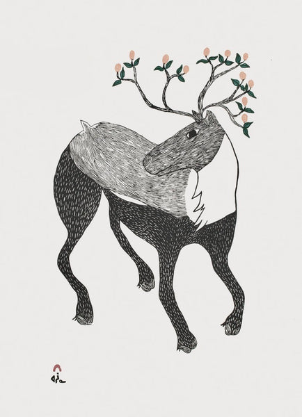 LAST PRINT in entire collection! 2021 Caribou in Bloom by NINGIUKULU TEEVEE