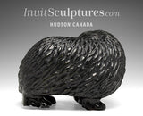 18"  Muskox by Kelly Etidloie  *Titanic Spirit*