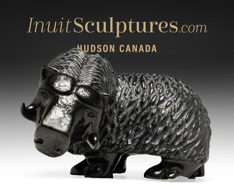 18"  Muskox by Kelly Etidloie  *Titanic Spirit*