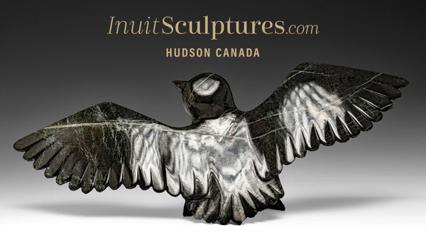 16" Hawk by Killiktee Killiktee *Heavens Above*