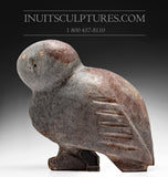 14" - 50 Lbs Large Purple Toned Owl by Kupapik Ningeocheak