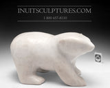 15" Rare Walking Bear Cub Nuna Parr