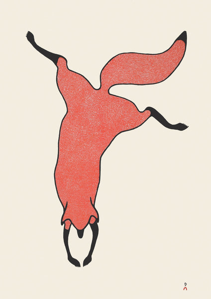 2019 Agile Fox by QUVIANAQTUK PUDLAT